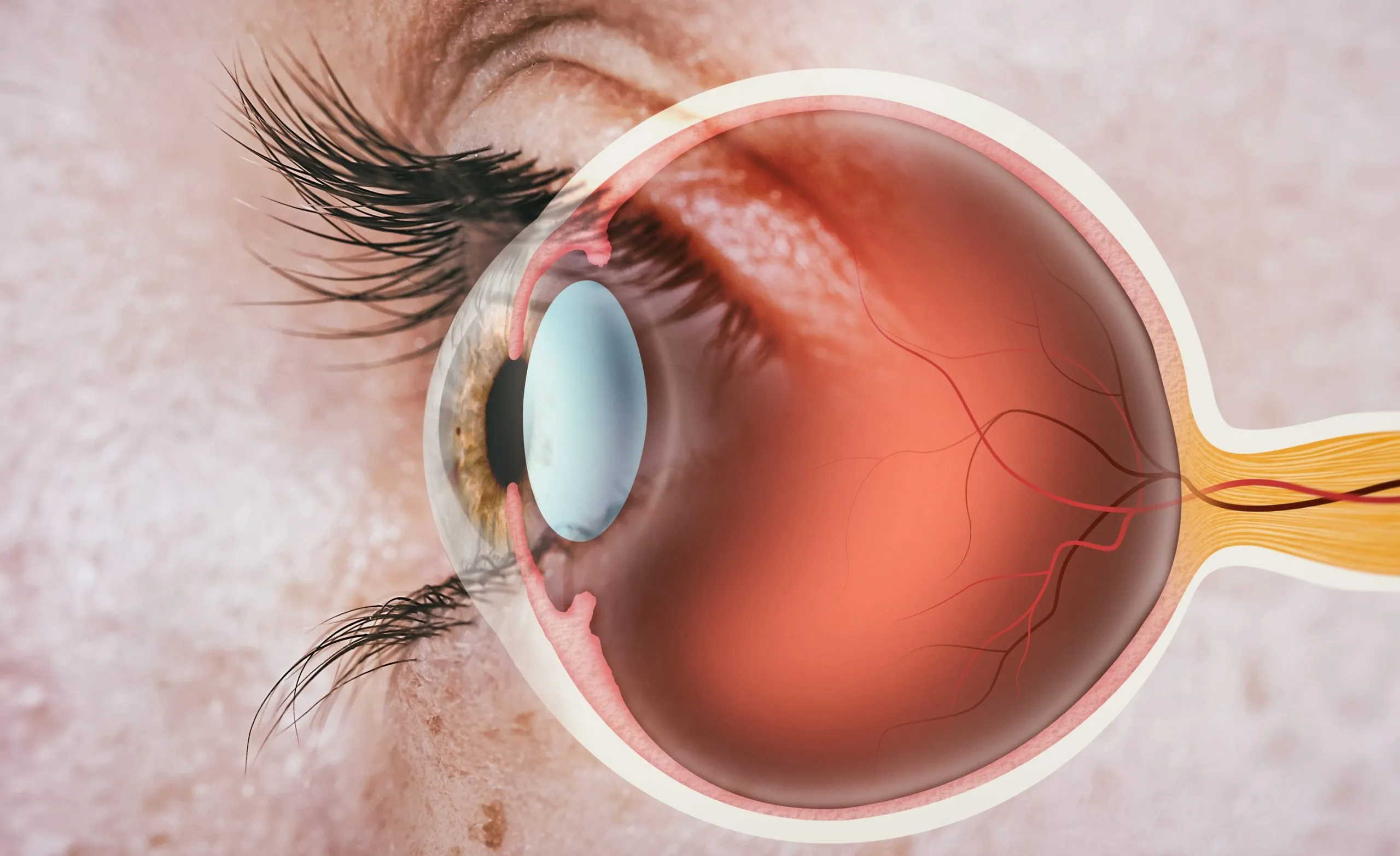 Retina Specialist in Shivaji Nagar